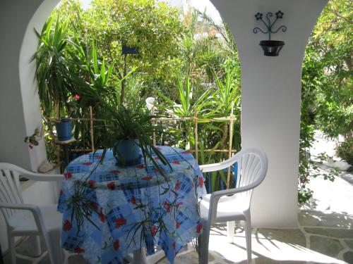 a table with a potted plant on top of it at Augusta Studios & Apartments in Naousa