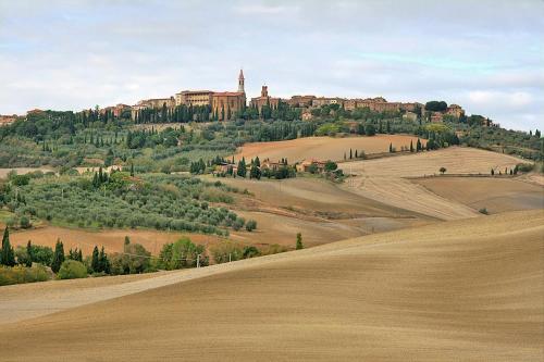 a town on top of a hill in a field at Il Casolare in Penna