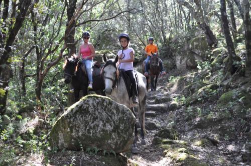 three people riding horses on a trail in the woods at Maison d'Hôtes de Charme de Croccano in Sartène