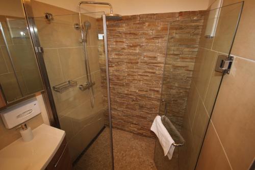 a bathroom with a shower with a glass door at Gasthof Waldwirt in Russbach am Pass Gschütt