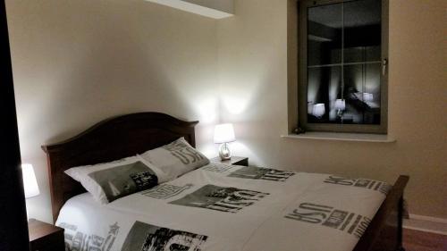 1 cama en un dormitorio con espejo y 1 cama sidx sidx sidx sidx en Apartment 2 Oakleigh House, en Cork