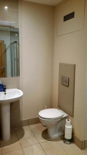 a bathroom with a toilet and a sink at Apartment 2 Oakleigh House in Cork
