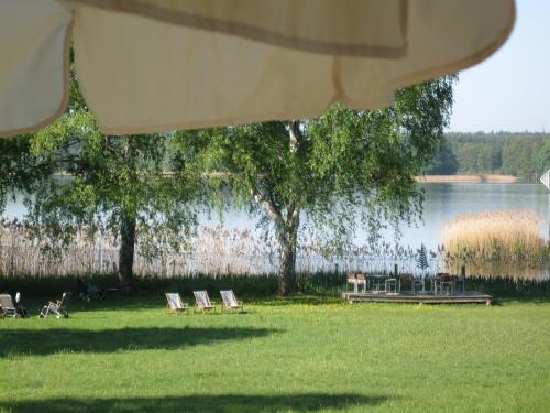 a group of chairs sitting in the grass near a lake at Ferien in Himmelpfort in Himmelpfort