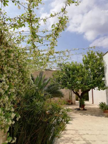 a garden with trees and flowers on a sidewalk at Agorà Suites & Apartments in Manduria