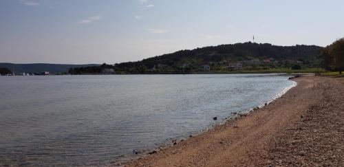 a body of water with a sandy beach and trees at Villa Flaveico in Pašman
