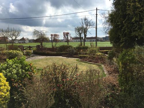 a garden with flowers and trees on a field at Maison du golf in Nieuwpoort