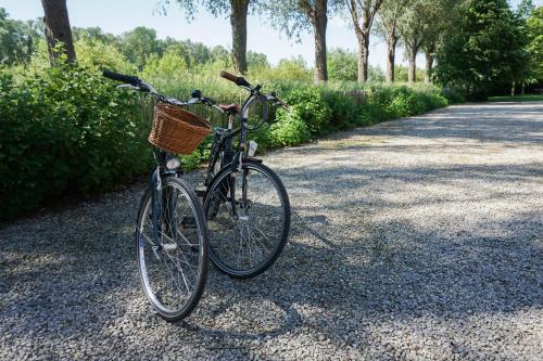 a bike with a basket parked on a gravel road at B&B Scheldekant in Oudenaarde