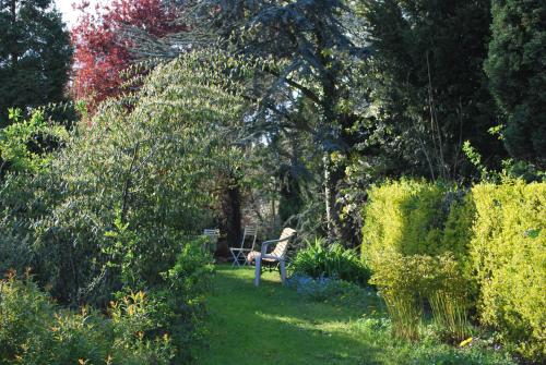 a person sitting in a chair in a garden at W'allons nous dormir in Liège