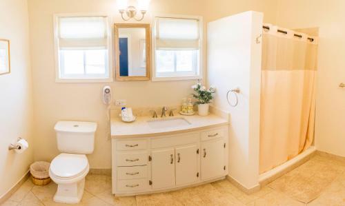 a bathroom with a toilet and a sink and a shower at La Villa de Adelina in Ensenada