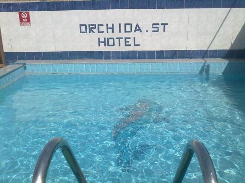 una piscina con una tortuga en el agua en Orchida St. George Hotel en Asuán