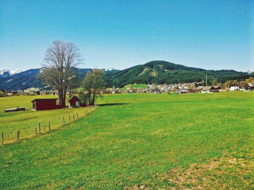 a field of green grass with a red barn and mountains at Pension Edelweiss Top 25 in Gosau