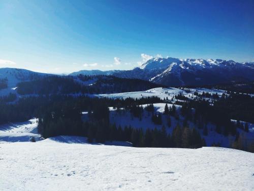a view of a snowy mountain with trees and mountains at Pension Edelweiss Top 25 in Gosau