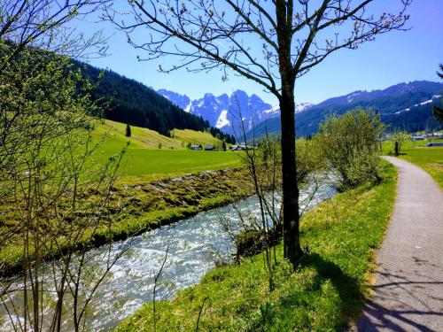 a path next to a river with mountains in the background at Pension Edelweiss Top 25 in Gosau