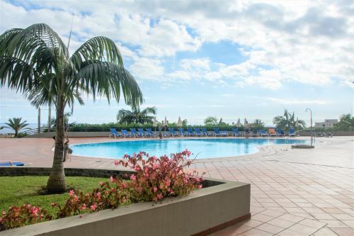 a swimming pool with a palm tree and chairs at PERFECT DUPLEX PISCINE Zone VIP Funchal in Funchal