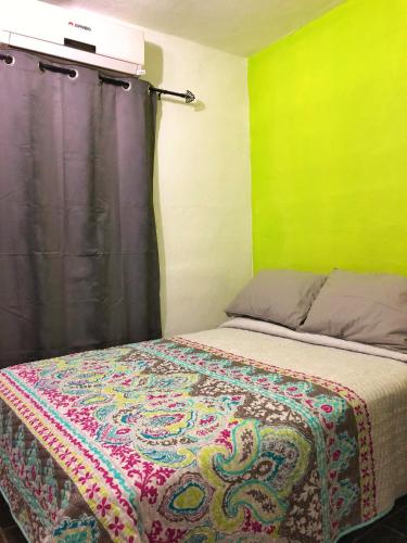 a bedroom with a bed with a green wall at Estancia del Sol in Cabo San Lucas