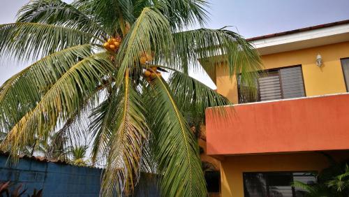 a palm tree in front of a building at Chalet en Puerto San Jose in San José de Guatemala