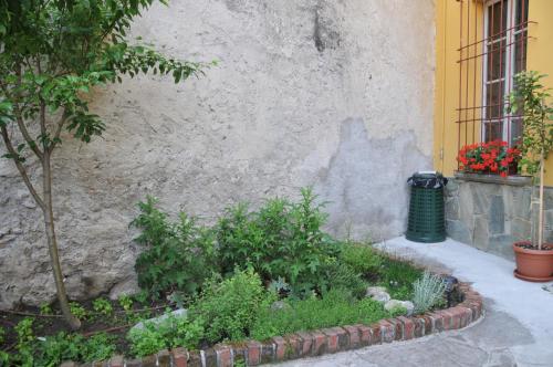 a garden in front of a building with a window at VILLA VINICIA, pool, jacuzzi, airco in Domaso