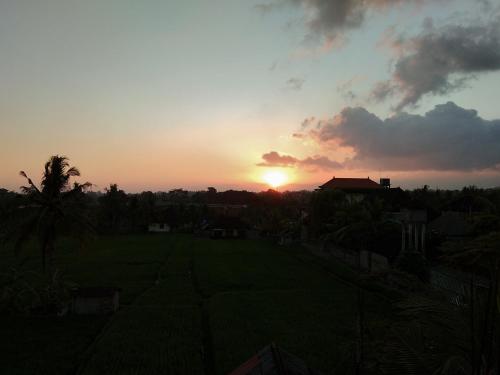 a sunset with the sun setting over a yard at Purnama di Bisma in Ubud