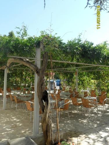 a group of tables and chairs and a tree at Hotel Prati in Castrocaro Terme