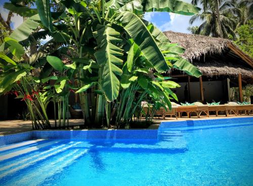สระว่ายน้ำที่อยู่ใกล้ ๆ หรือใน El Nido Coco Resort