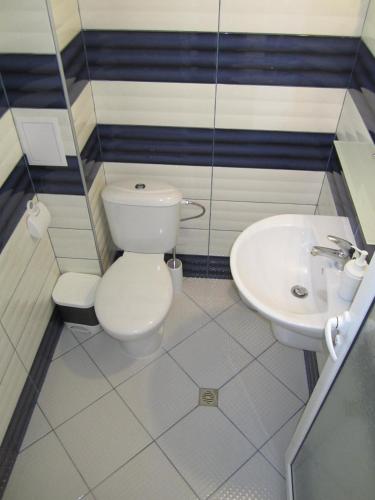a bathroom with a toilet and a sink at Guesthouse Kolevi in Lozenets