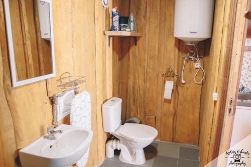 a bathroom with a white toilet and a sink at Atpūtas vieta Buki in Ventspils