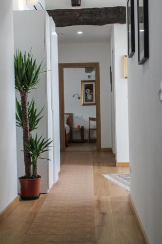 a hallway with white walls and a potted plant at Al Sa di Te in Udine