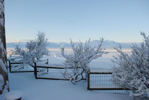 a fence covered in snow with trees at Brunnholl Country Guesthouse in Höfn