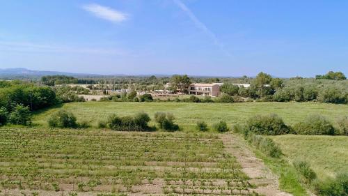an empty field with a house in the background at Finca Agroturismo Son Menut in Felanitx