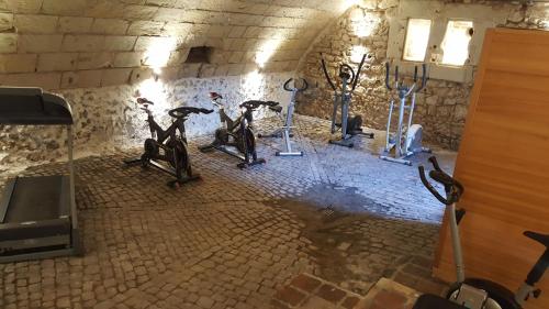 a group of exercise bikes in a gym at Château de Jallanges & Spa à Vouvray - 1h de spa incluse par jour in Vouvray