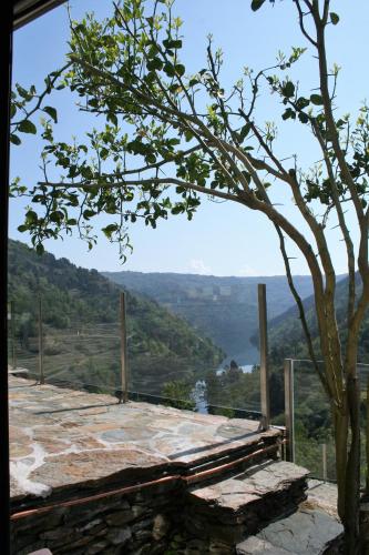 a view from the top of a building with a tree at Cabo Do Mundo Casa Rural in Chantada