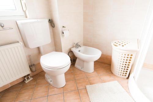 a bathroom with a toilet and a sink at Luxurious RUBY Apartment with SAUNA in Kobarid