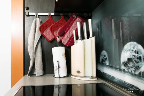 a shelf with books and utensils on it at Luxurious RUBY Apartment with SAUNA in Kobarid