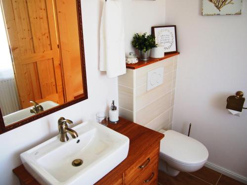 a bathroom with a sink and a toilet and a mirror at Penzion V peřině in Trojanovice