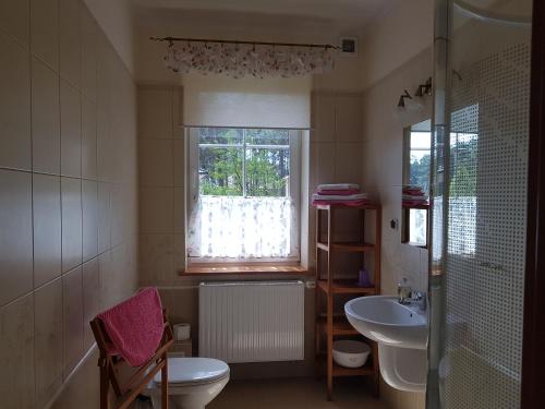 a bathroom with a sink and a toilet and a window at Willa Reverans in Borne Sulinowo