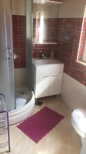 a bathroom with a shower and a toilet and a sink at Apartment Vesna in Supetar