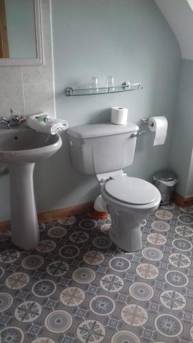 a bathroom with a toilet and a sink at Atlantic Haven Bed & Breakfast in Grange