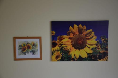 two framed pictures of a sunflower on a wall at Gästehaus Familie Grudl in Bärnkopf