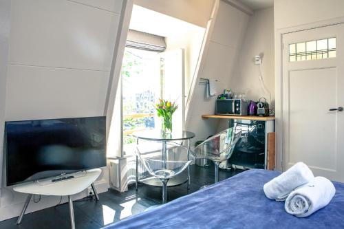 TV a/nebo společenská místnost v ubytování Zwanestein Canal House