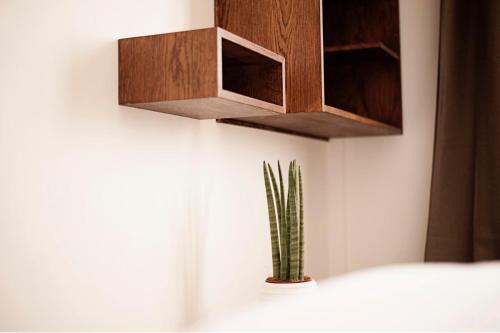 a cactus in a vase on a wall next to a shelf at Casa Boumort in Sant Marti de Canals