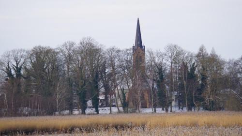 a church steeple in the middle of a field with trees at Fischerhus In Krummin - nur für Urlauber in Krummin