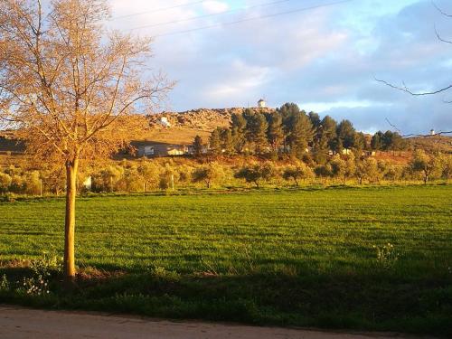a tree in the middle of a green field at Las Eras 2 in Herencia