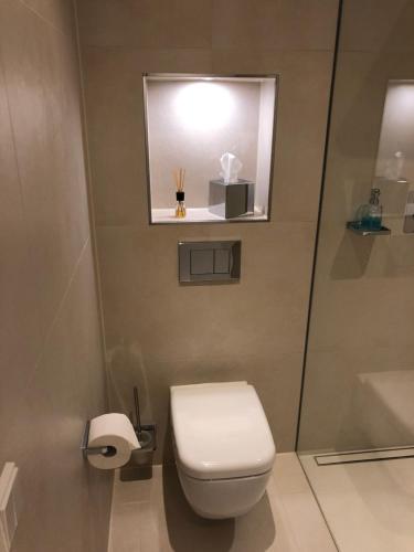 a bathroom with a toilet and a sink and a window at Voss Villa in Leipzig