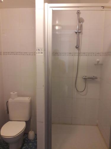 a bathroom with a shower with a toilet and a shower at hotel Melissa in Péruwelz