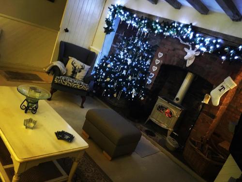Tudor Farm B&B في Elston: غرفة معيشة مع موقد مع أضواء عيد الميلاد