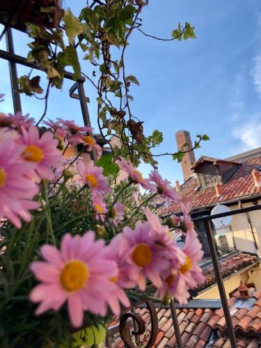 a bunch of pink flowers in front of a building at 32 BnB Camerecaffè in Pavia