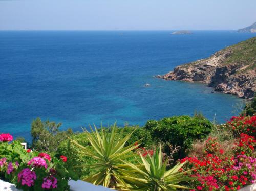 a view of the ocean from a garden with flowers at Patmos Paradise Hotel in Kámbos