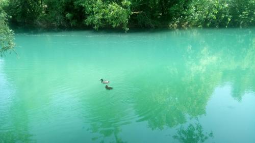  Kuca Delić -  Room  picture :   Shower    TV    Air conditioning                           