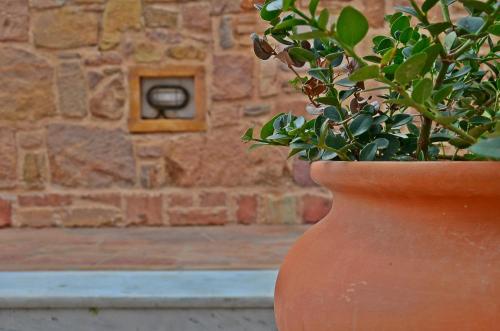 Φωτογραφία από το άλμπουμ του Mastiha Villas in Town στη Χίος