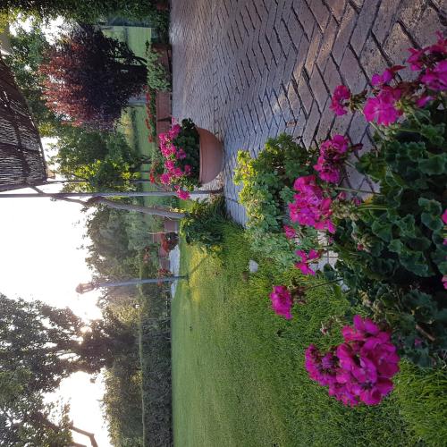 a group of flowers on a brick wall at L'albero Del Pepe in Fiano Romano